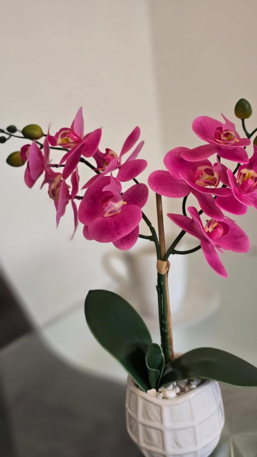 Luxury Green 1 Bed City Centre Apartment Close To Mailbox,Bullring, Broad Street For Leisure And Families バーミンガム エクステリア 写真