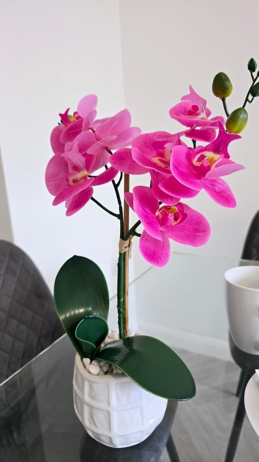 Luxury Green 1 Bed City Centre Apartment Close To Mailbox,Bullring, Broad Street For Leisure And Families バーミンガム エクステリア 写真